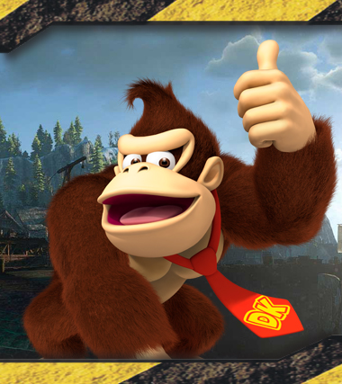 Credit: Nintendo